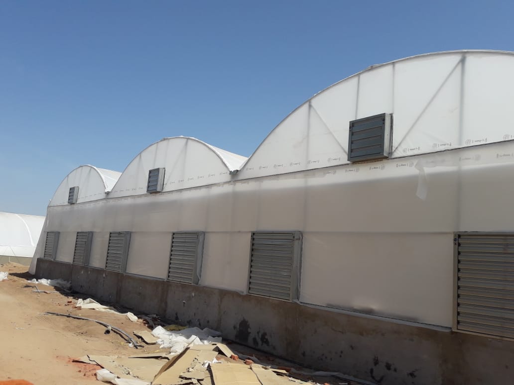 Green House Farming In India Poly House Farming Across India