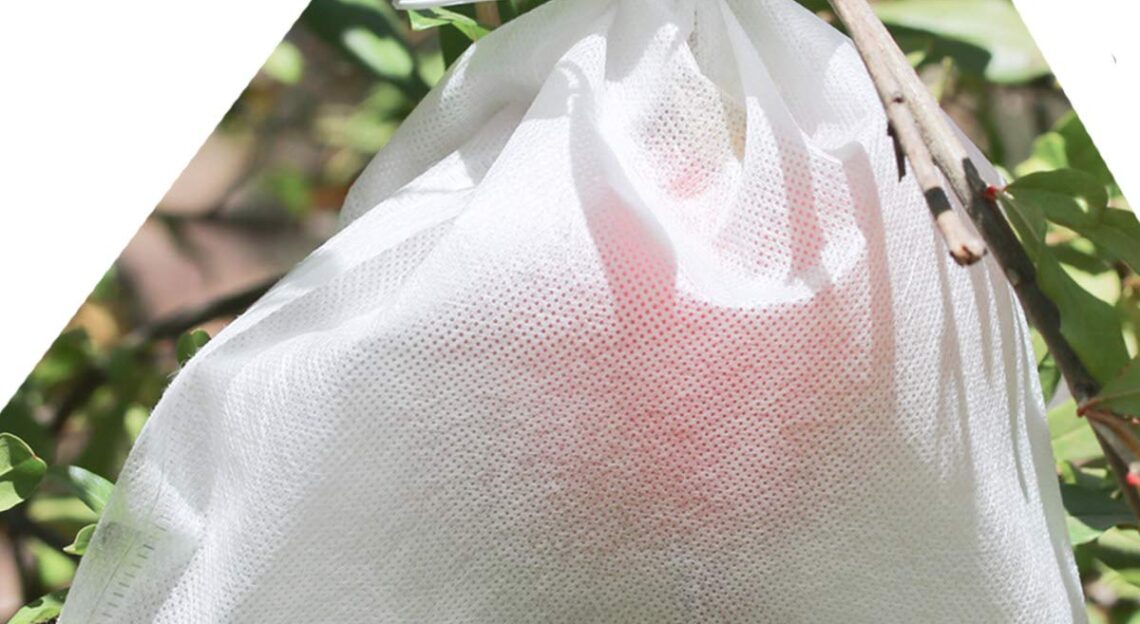 Fruit Covering Bag Shri Ji Irrigation, Rajasthan India