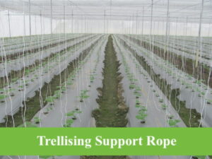 Trellising Support Rope