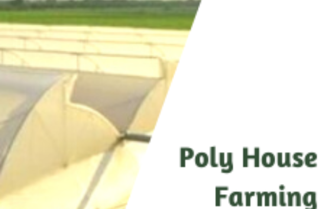 cropped-Poly-House-Farming.png