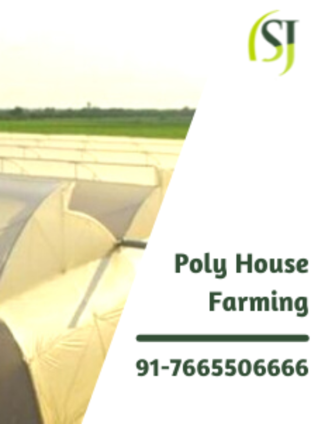 6 Step Guide to build successful Poly House